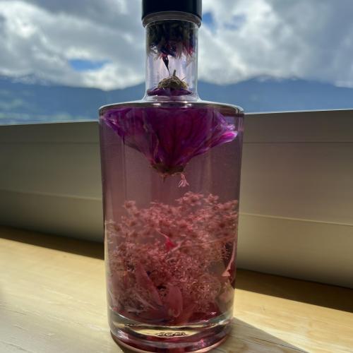 Bathtab Gin